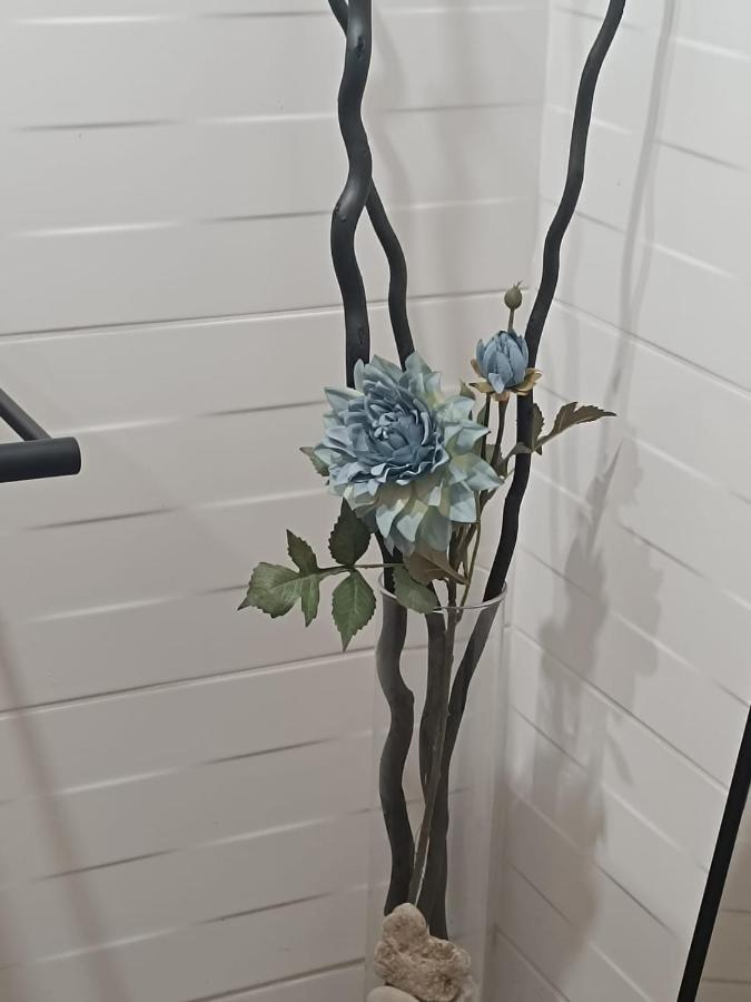 Apartament Anfiteatre Roma Ταραγόνα Εξωτερικό φωτογραφία